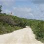 Mulgumpin (Moreton Island) - Cape Moreton