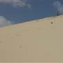 Mulgumpin (Moreton Island) - The Desert