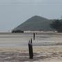 Mulgumpin (Moreton Island)