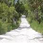 Mulgumpin (Moreton Island)