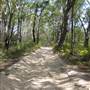 Mulgumpin (Moreton Island)