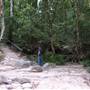 Mossman Gorge