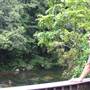 Mossman Gorge