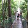 Mossman Gorge