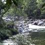 Mossman Gorge