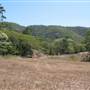 Mowbray Valley