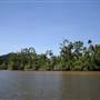 Mulgrave River (Cairns Region)