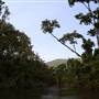 Mulgrave River (Cairns Region)