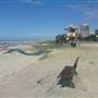 Oceanside Park - Narrowneck Beach