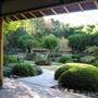 Japanese Garden, Mt Coot-tha Botanical Gardens