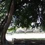 New Farm Park
