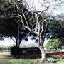 New Farm Park