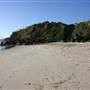 Nobby Beach and Headland