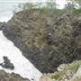 Noosa Cliffs