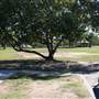 Boondall Wetlands Park