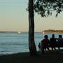Noosa River