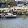 Oyster Point