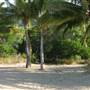 North Palm Cove to Ellis Beach