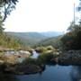 Purling Brook Falls - Springbrook National Park