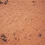 Quilpie Clay Pans