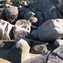 Radical Bay (Magnetic Island)