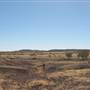 Rangelands Station