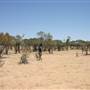 Rangelands Station