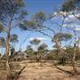 Rangelands Station