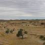 Rangelands Station