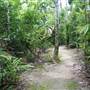 Mission Beach (Cairns Region FNQ)