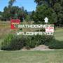 Rathdowney - Rural Town with Mountain Range, Surrounding Landscape & Roads