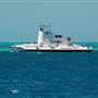 Hardy Reef (Reefworld Plantoon)