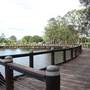 Gold Coast Regional Botanic Gardens - Rosser Park