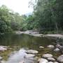 Silky Oaks Lodge - Mossman