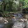 Silky Oaks Lodge - Mossman