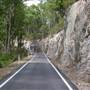 Springbrook National Park