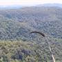 Springbrook National Park