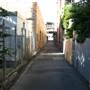 Teneriffe