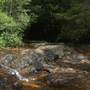 Goomoolahra Falls - Springbrook NP