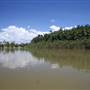 Tully River