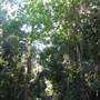 Whitsunday Great Walk