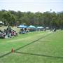 Whites Hill Reserve - Overview