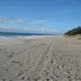 Woorim Beach - Bribie Island