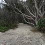 Minjeeribah (North Stradbroke Island) - Home Beach