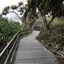 Gorge Walk, Point Lookout