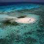 Vlasoff Cay