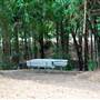 Kholo Botanic Gardens
