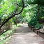 Kholo Botanic Gardens