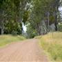 Long Straight Country Road - Purga