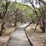 Purga Nature Reserve